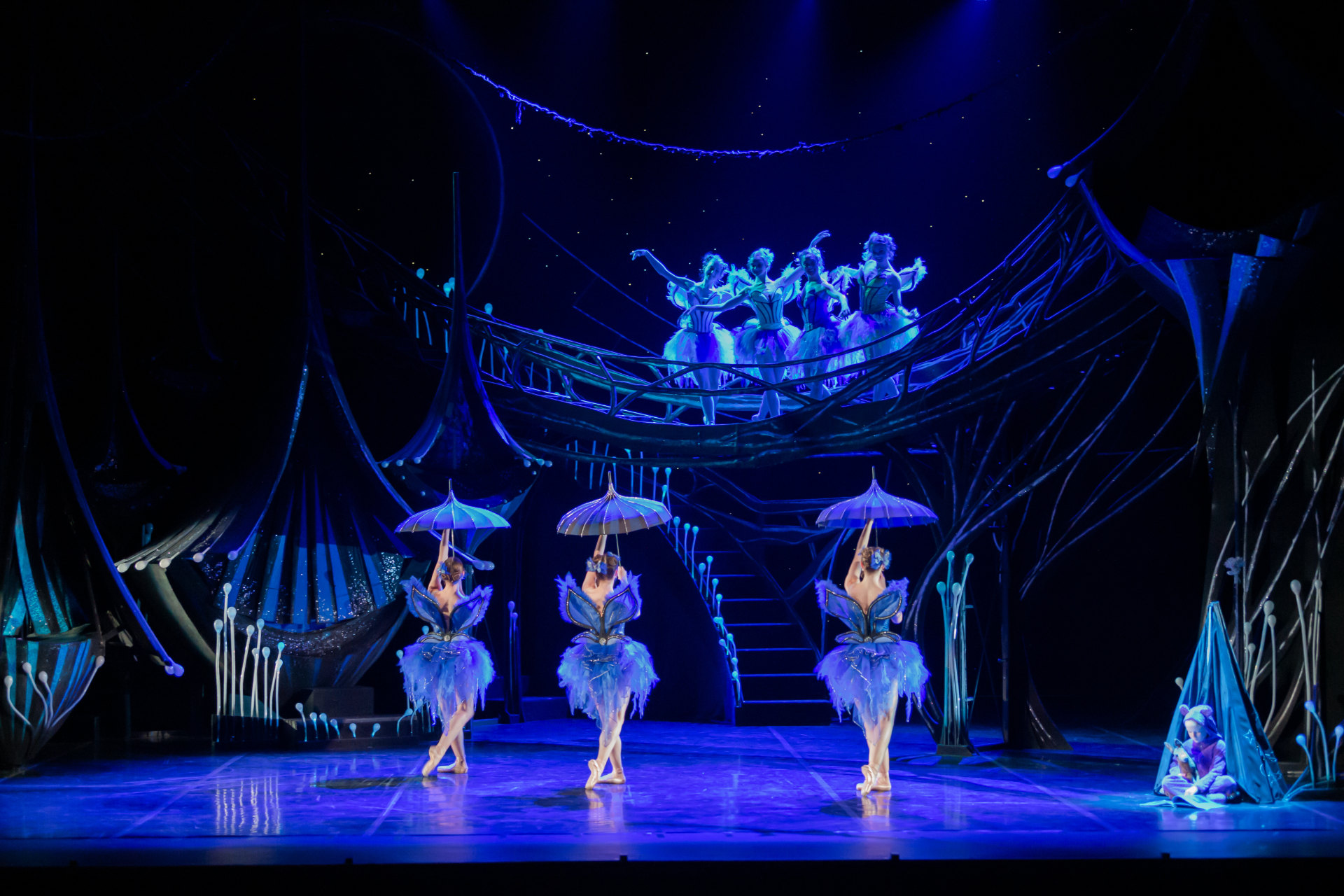 A Midsummer Night's Dream: A Triumph Returns – New Zealand Arts Review